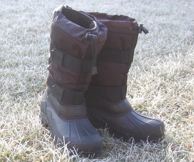 fox ice boots