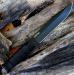 Cold Steel Leatherneck (70 EUR) Nový - Predaj