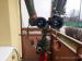 vojenský dalekohled periskopický AST vz 53 - Predaj