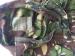 Maskáčová bunda anglickej armády - extra pevná - Predaj