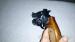 Holek model 241 cal.22 - Predaj