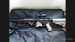 Norinco CQ-A1 - Prodej