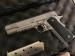Kimber 1911 Stainless TLE/RL 45.acp  - Predaj