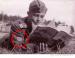 Štítek Ázerbajdžánský dobrovolník Wehrmacht - Prodej