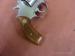 Rewolwer  Smith & Wesson  Mod .60 , kal .38 - Predaj