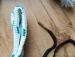 Wycior sznur szczotka boresnake bore cleaner 12GA - Sprzedaż