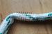 Wycior sznur szczotka boresnake bore cleaner 12GA - Sprzedaż