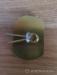 BRITISH ARMY SPECIAL FORCES SAS WHO DARES WINS PIN - Sprzedaż