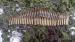 5.56 built belt (inert)for sale in good condition  - Sale