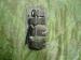 MTP Pouch Ammunition SA80 Single Mag org. brit arm - Prodej