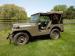 1954 Willys M38A1 - Sale