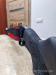 Strzelba Mossberg Maverick 12/76 - Sprzedaż