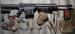 BARRET M82A1 CQB .50BMG - Sprzedaż