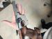 Pistilet WALTHER GSP 32 Wad Cuter - Sprzedaż