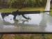 CZ512 Tactical .22lr - Sprzedaż