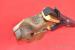 #7449 PISTOLET WALTHER GSP kal. kal.22lr / 32S&amp - Sprzedaż