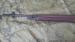 Karabin M14 TRW 1962 rok - Sprzedaż