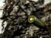 7,62x39 FSB (Full Solid Bullet) 8g/124gr - Predaj