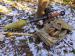 RPG7 replika - Eladás