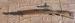 Karabin Mauser M43 La Coruna - Sprzedaż