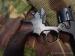 Rewolwer Enfield no2 mkI 1933 .38S&W - Sprzedaż