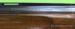 WINCHESTER 101 XTR LIGHTWEIGHT 12/70 DOSTAWA ! - Sprzedaż