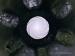 #0360 KARABIN M16A1, kal. 5,56x45mm (.223 Rem) - Sprzedaż