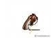 Harrington & Richardson Safety Hammerless | St - Sprzedaż