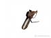 Browning Buckmark | Stan Bardzo dobry - - Sprzedaż