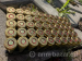 9x19 hermetyczna, MESKO w konserwie 1600szt - Sprzedaż
