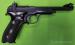 MARGOLIN MCM .22 LR (V) DOSTAWA W CENIE!  - Sprzedaż