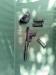 Ruger SR 22 - Predaj
