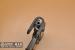 Pistolet CZ vz. 61 Skorpion, 7.65 Br.  [M7518] - Sprzedaż
