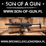 son-of-gun.pl